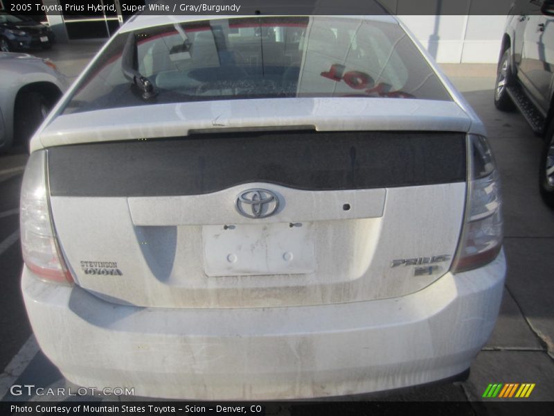 Super White / Gray/Burgundy 2005 Toyota Prius Hybrid