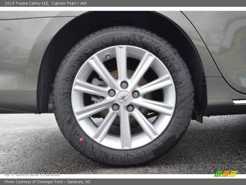 Cypress Pearl / Ash 2014 Toyota Camry XLE