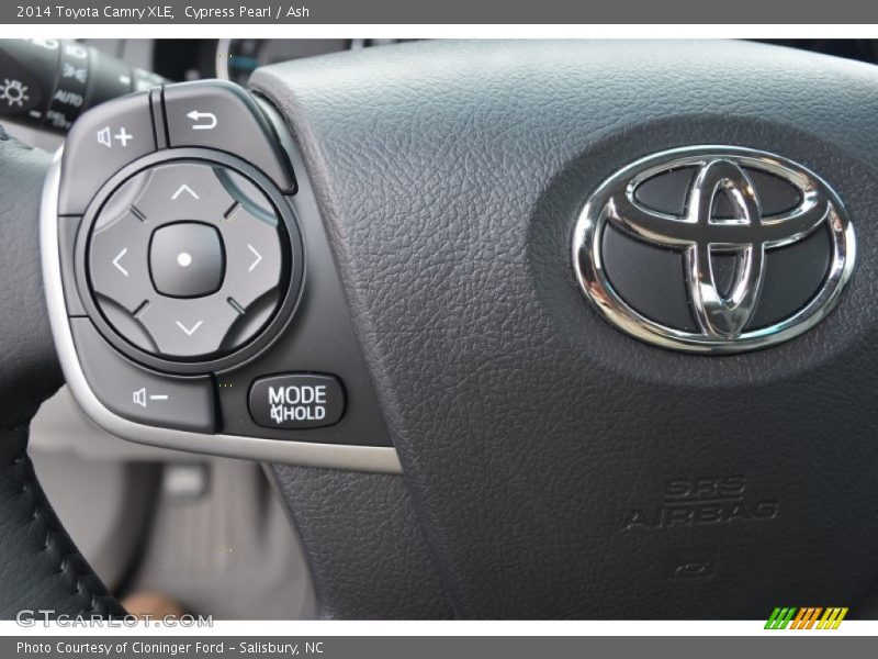 Cypress Pearl / Ash 2014 Toyota Camry XLE
