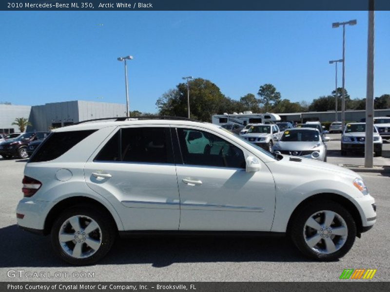 Arctic White / Black 2010 Mercedes-Benz ML 350
