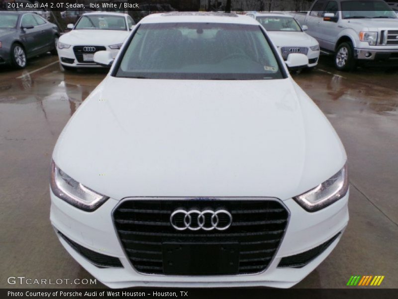 Ibis White / Black 2014 Audi A4 2.0T Sedan
