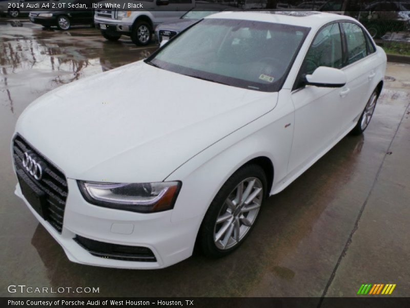 Ibis White / Black 2014 Audi A4 2.0T Sedan
