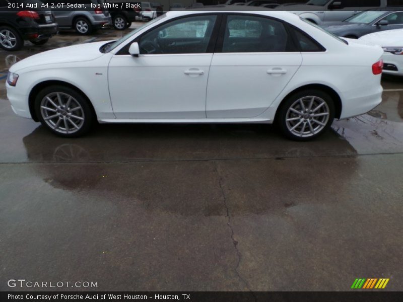 Ibis White / Black 2014 Audi A4 2.0T Sedan