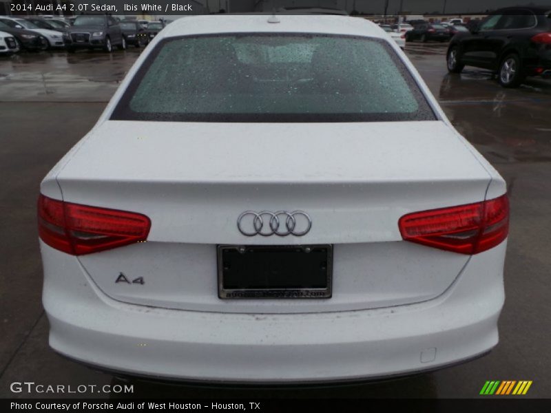 Ibis White / Black 2014 Audi A4 2.0T Sedan