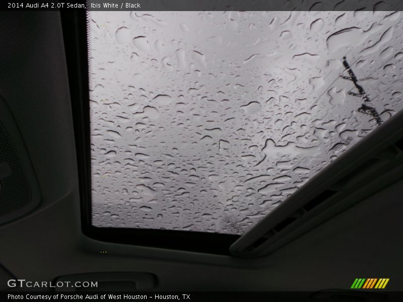 Ibis White / Black 2014 Audi A4 2.0T Sedan