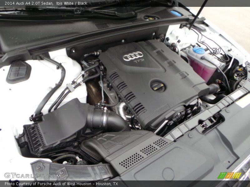 Ibis White / Black 2014 Audi A4 2.0T Sedan