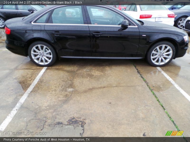 Brilliant Black / Black 2014 Audi A4 2.0T quattro Sedan