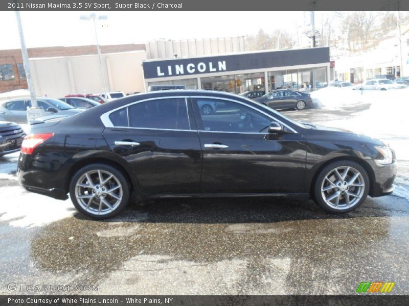 Super Black / Charcoal 2011 Nissan Maxima 3.5 SV Sport