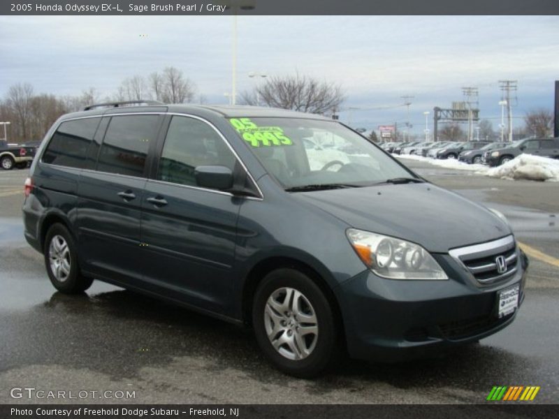 Sage Brush Pearl / Gray 2005 Honda Odyssey EX-L