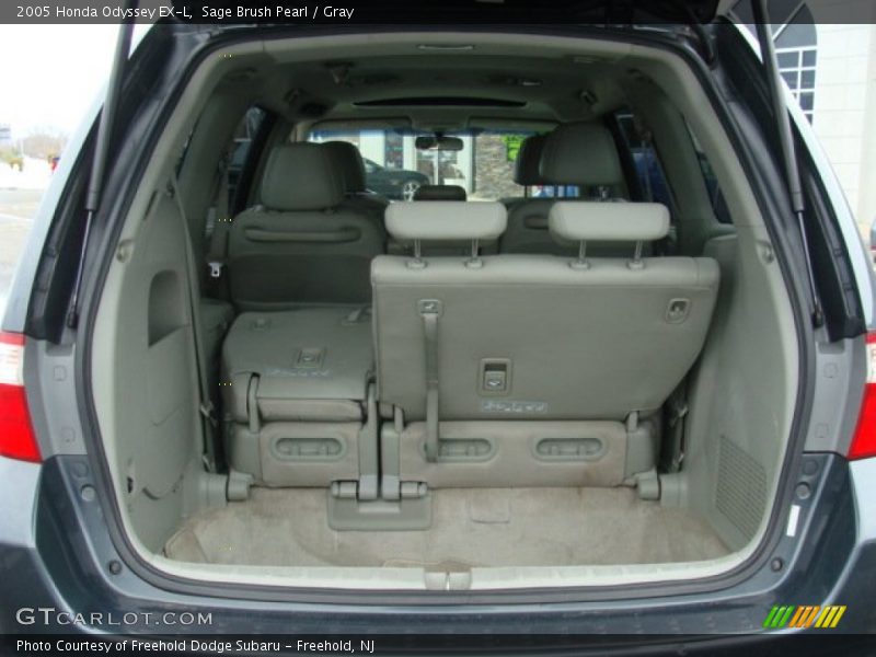 Sage Brush Pearl / Gray 2005 Honda Odyssey EX-L