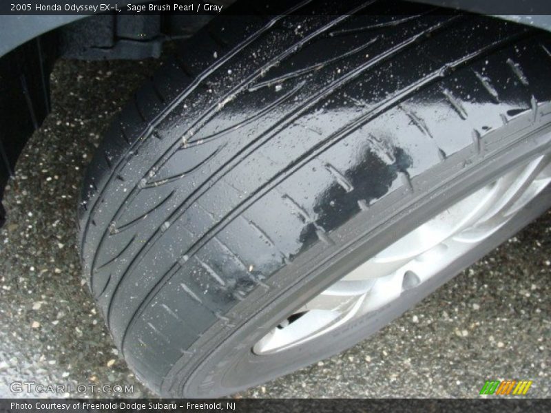 Sage Brush Pearl / Gray 2005 Honda Odyssey EX-L