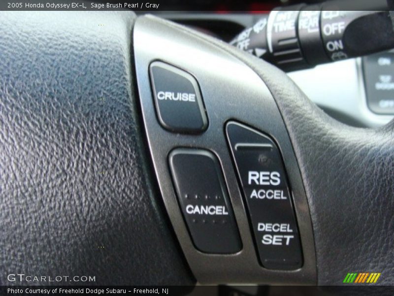 Sage Brush Pearl / Gray 2005 Honda Odyssey EX-L