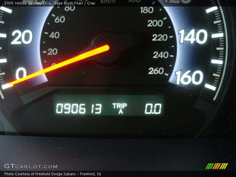 Sage Brush Pearl / Gray 2005 Honda Odyssey EX-L