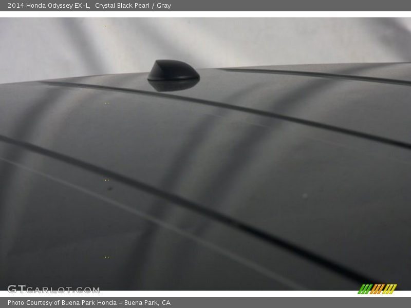 Crystal Black Pearl / Gray 2014 Honda Odyssey EX-L