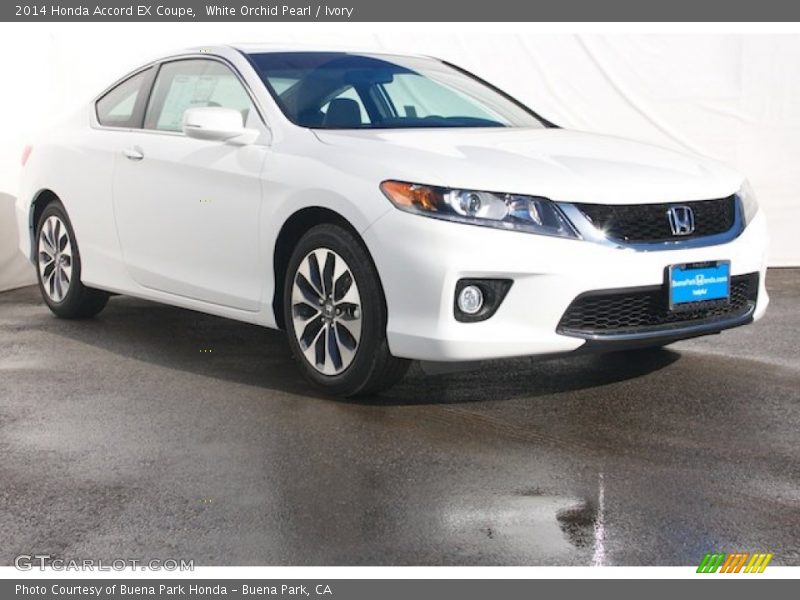 White Orchid Pearl / Ivory 2014 Honda Accord EX Coupe