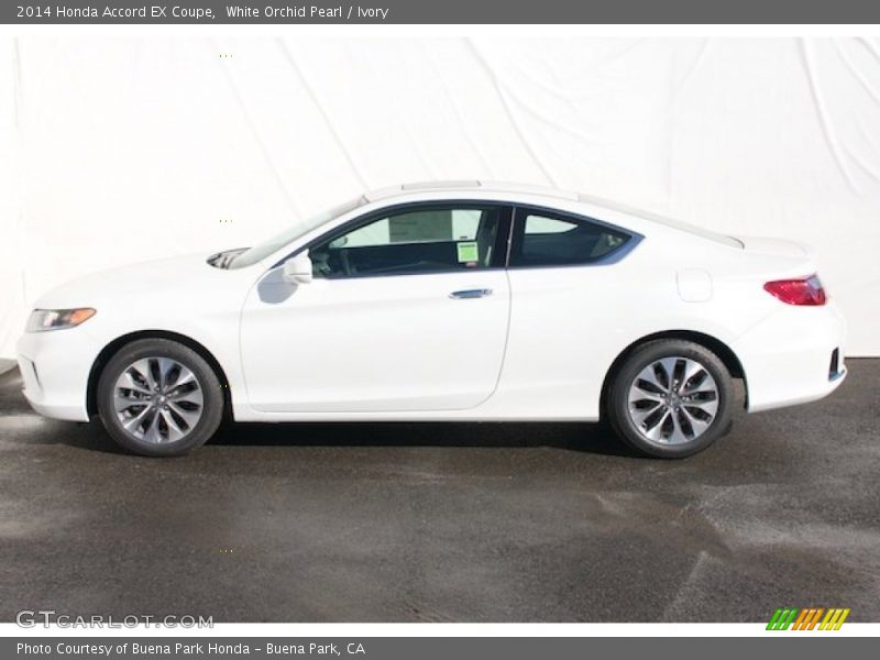 White Orchid Pearl / Ivory 2014 Honda Accord EX Coupe