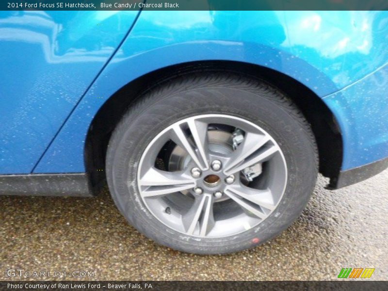 Blue Candy / Charcoal Black 2014 Ford Focus SE Hatchback