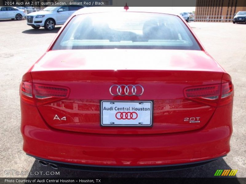 Brilliant Red / Black 2014 Audi A4 2.0T quattro Sedan