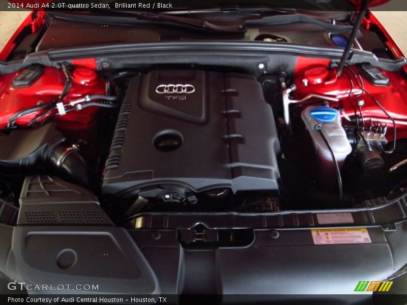 Brilliant Red / Black 2014 Audi A4 2.0T quattro Sedan