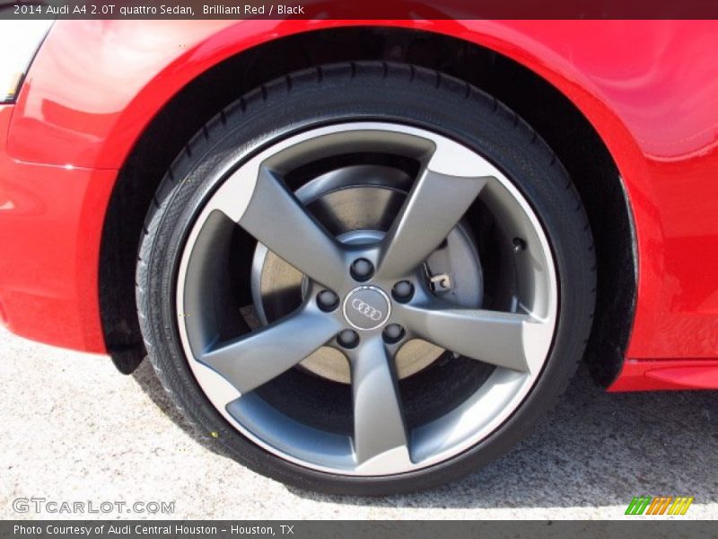 Brilliant Red / Black 2014 Audi A4 2.0T quattro Sedan