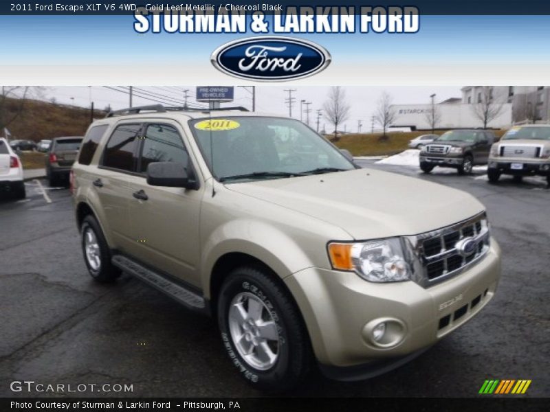 Gold Leaf Metallic / Charcoal Black 2011 Ford Escape XLT V6 4WD
