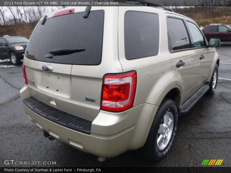 Gold Leaf Metallic / Charcoal Black 2011 Ford Escape XLT V6 4WD