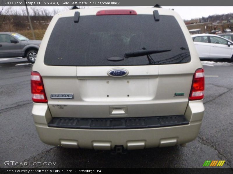 Gold Leaf Metallic / Charcoal Black 2011 Ford Escape XLT V6 4WD