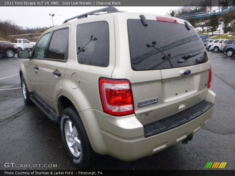 Gold Leaf Metallic / Charcoal Black 2011 Ford Escape XLT V6 4WD