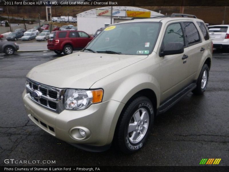 Gold Leaf Metallic / Charcoal Black 2011 Ford Escape XLT V6 4WD