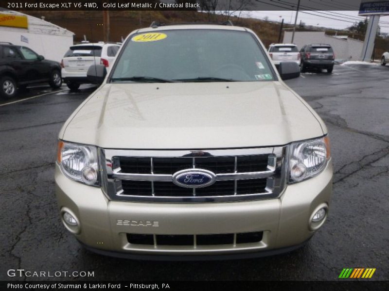 Gold Leaf Metallic / Charcoal Black 2011 Ford Escape XLT V6 4WD