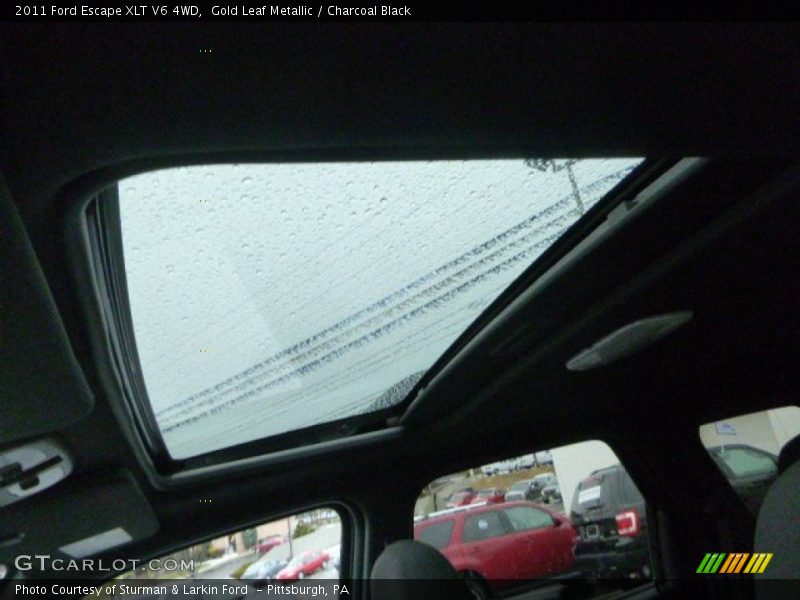 Gold Leaf Metallic / Charcoal Black 2011 Ford Escape XLT V6 4WD