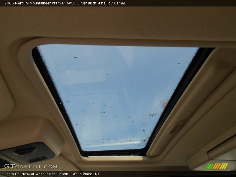 Silver Birch Metallic / Camel 2006 Mercury Mountaineer Premier AWD