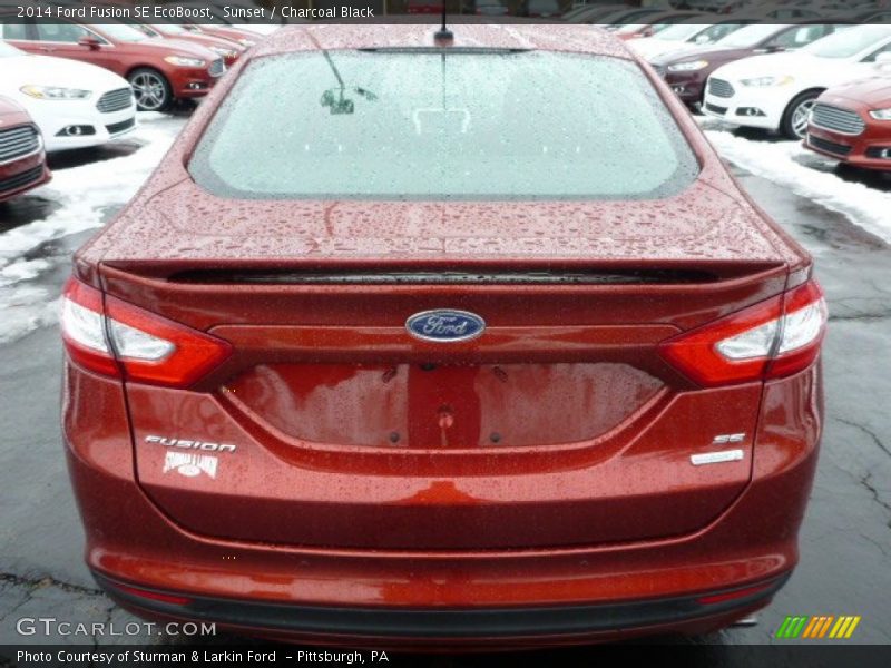 Sunset / Charcoal Black 2014 Ford Fusion SE EcoBoost