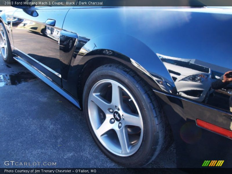 Black / Dark Charcoal 2003 Ford Mustang Mach 1 Coupe