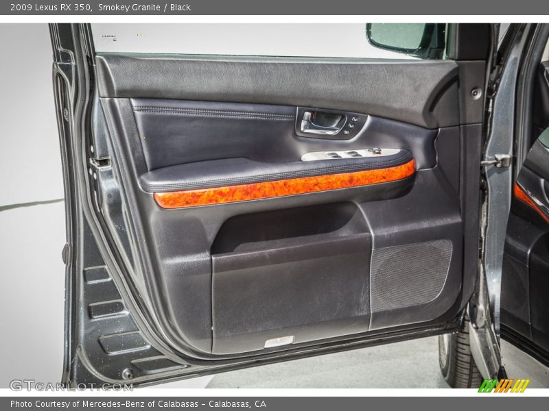 Door Panel of 2009 RX 350