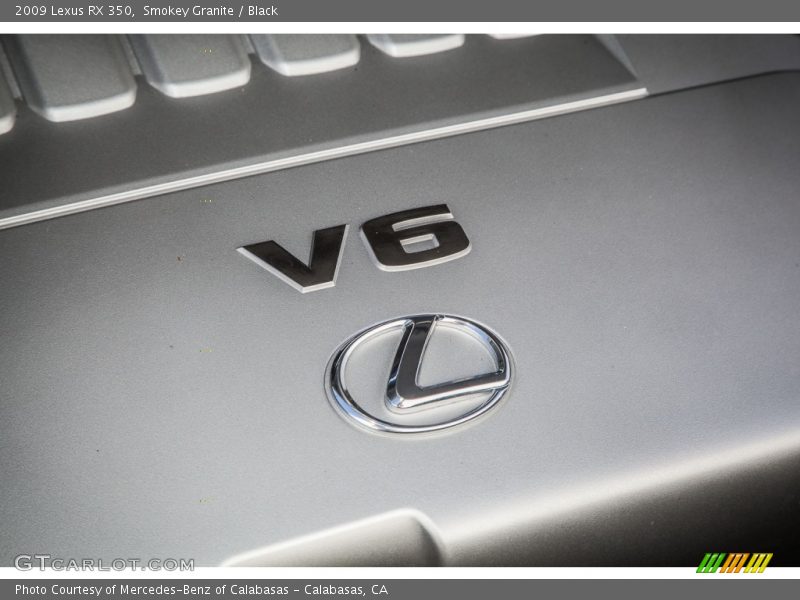 Smokey Granite / Black 2009 Lexus RX 350