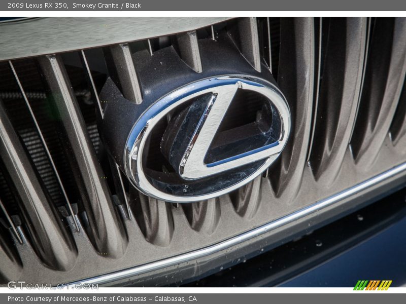 Smokey Granite / Black 2009 Lexus RX 350