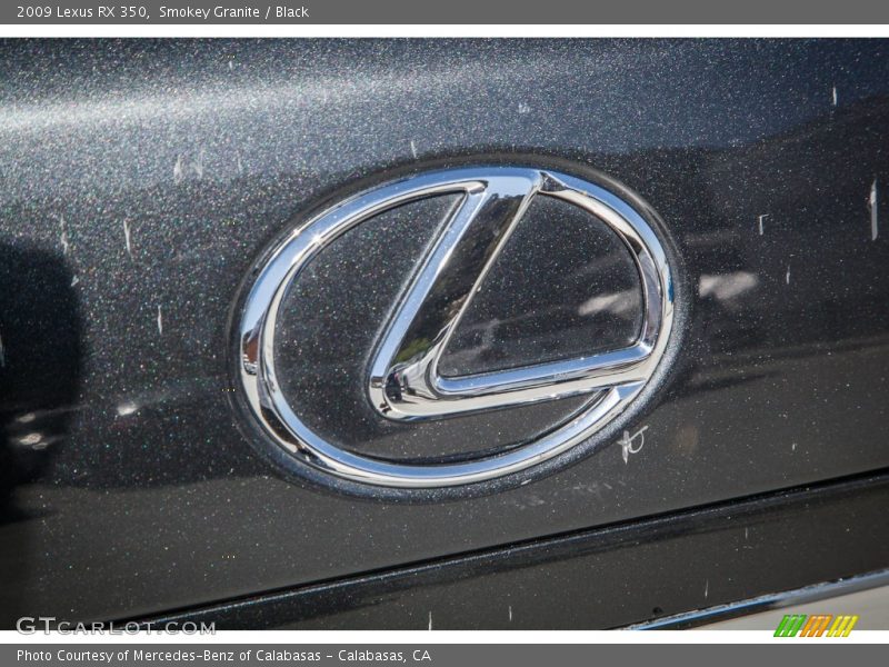 Smokey Granite / Black 2009 Lexus RX 350