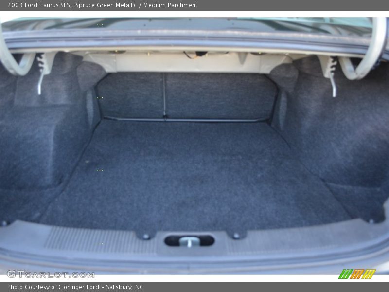 Spruce Green Metallic / Medium Parchment 2003 Ford Taurus SES