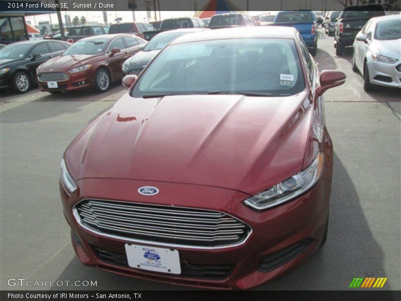 Sunset / Dune 2014 Ford Fusion SE