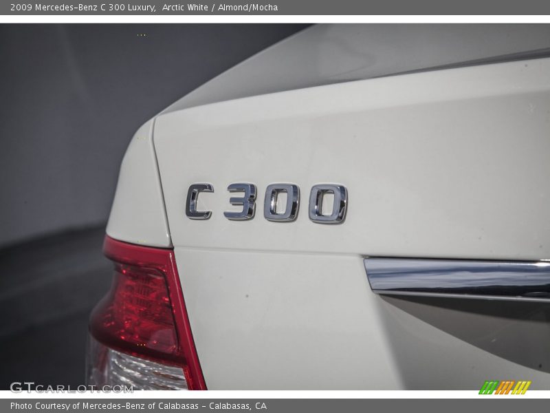 Arctic White / Almond/Mocha 2009 Mercedes-Benz C 300 Luxury