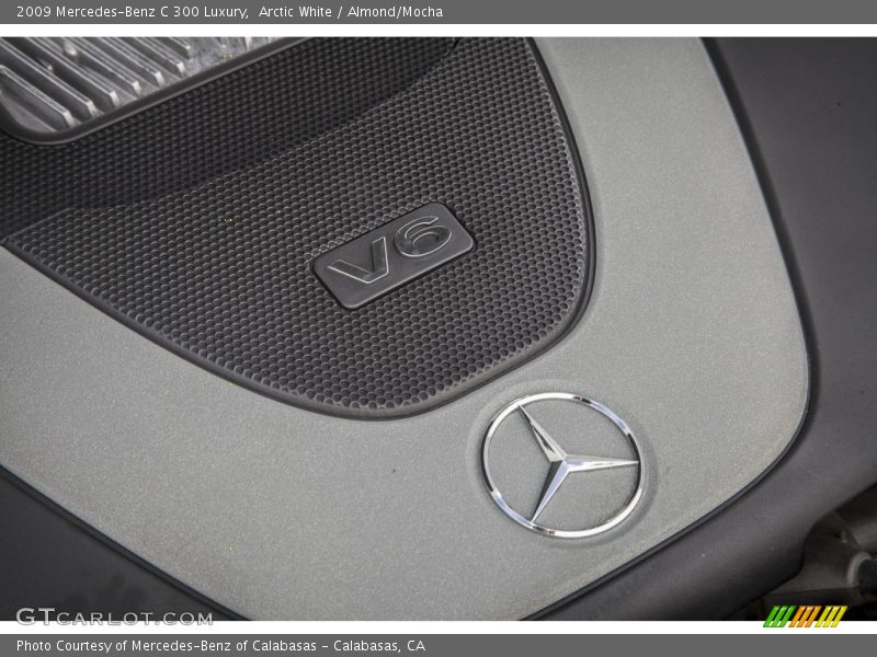 Arctic White / Almond/Mocha 2009 Mercedes-Benz C 300 Luxury