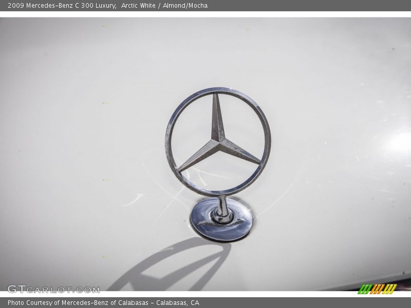 Arctic White / Almond/Mocha 2009 Mercedes-Benz C 300 Luxury