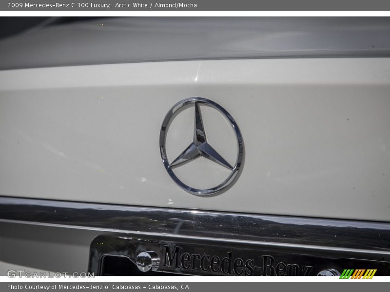 Arctic White / Almond/Mocha 2009 Mercedes-Benz C 300 Luxury