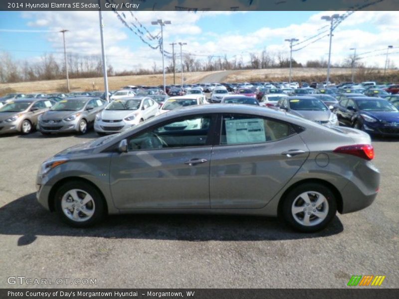 Gray / Gray 2014 Hyundai Elantra SE Sedan