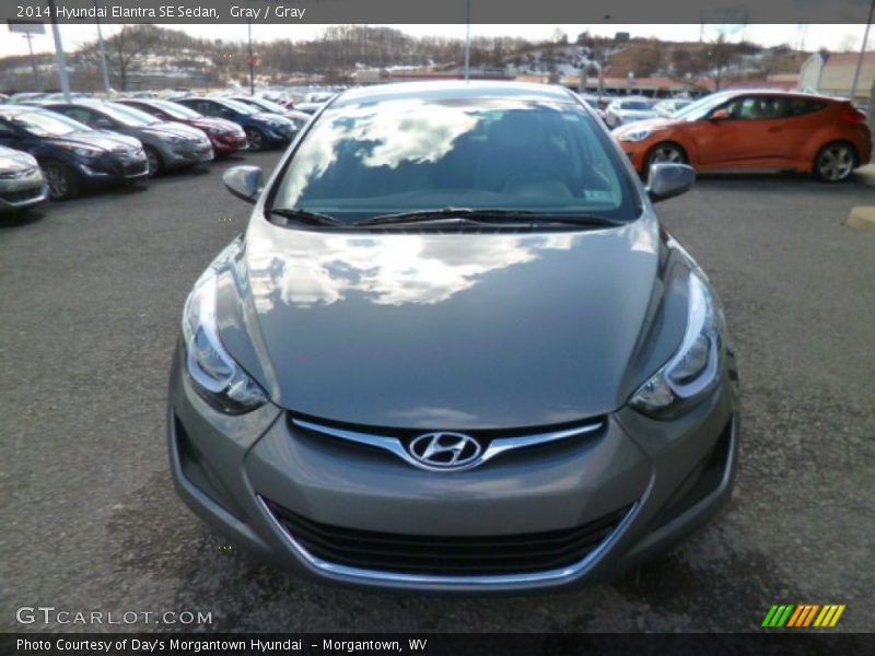 Gray / Gray 2014 Hyundai Elantra SE Sedan