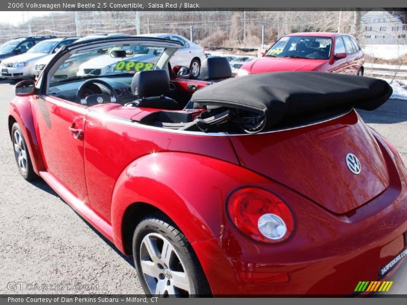 Salsa Red / Black 2006 Volkswagen New Beetle 2.5 Convertible