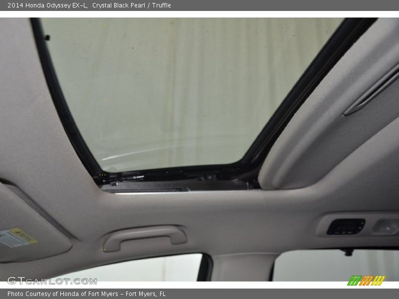 Crystal Black Pearl / Truffle 2014 Honda Odyssey EX-L