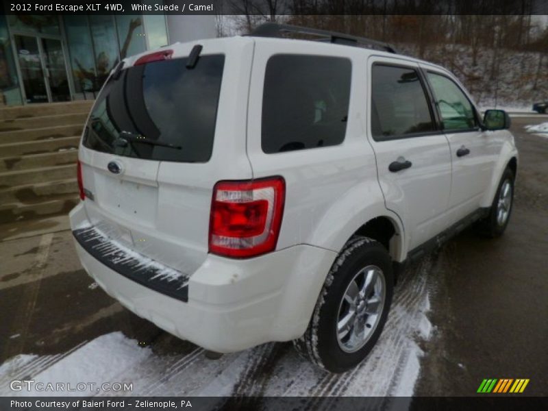White Suede / Camel 2012 Ford Escape XLT 4WD