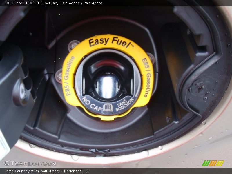 Pale Adobe / Pale Adobe 2014 Ford F150 XLT SuperCab